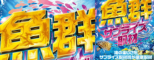 魚群サプライズ