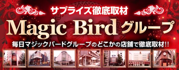 Magic Bird グループ